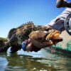 Lagoon Fishing Charter - Image 4